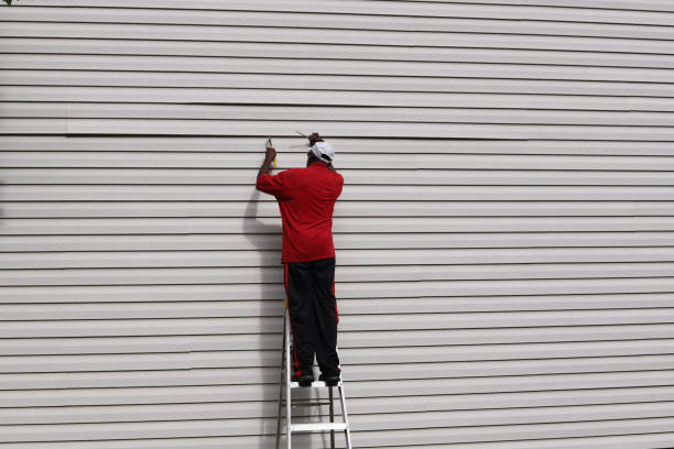Best Custom Siding Design  in West Liberty, IA